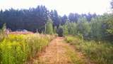 Участок 25 соток ИЖС на лесной опушке в 10-ти км. от Пскова