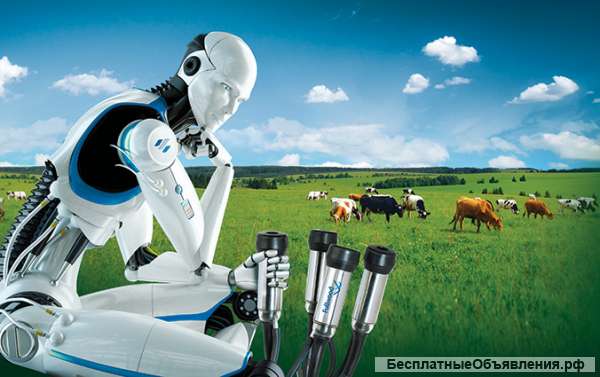 Менеджер по продажам оборудования и расходных материалов