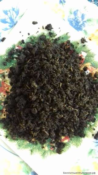 Капорский Иван Чай