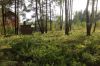 Участок 15 соток