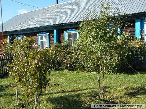 Недвижимость