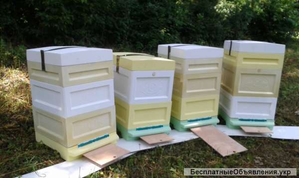 Корпусные полиуретановые ульи от производителя