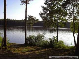 Небольшая уютная дача в Орехово