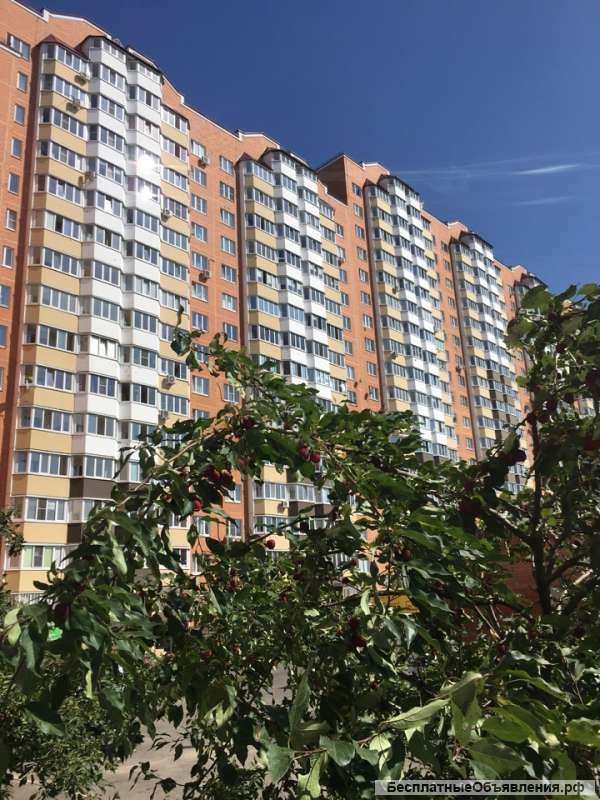 Поможем продать Вашу недвижимость быстро и качественно