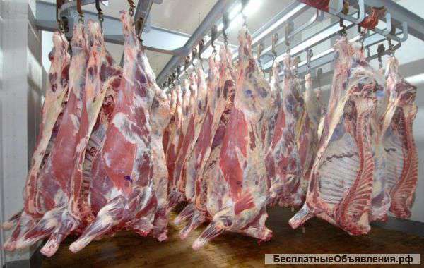 Мясо говядины 1 категории