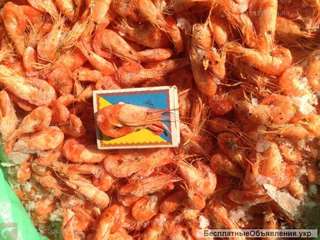 Креветка с полным пакетом сопроводительных документов