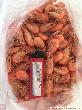 Крупная креветка азовская