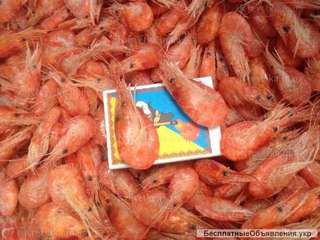 Креветка черноморская, азовская. крупная, гамуз, микс