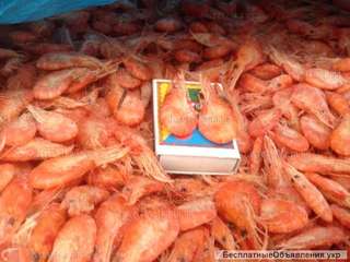 Креветка мелкая наша черноморская