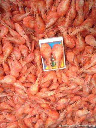 Оптом креветка