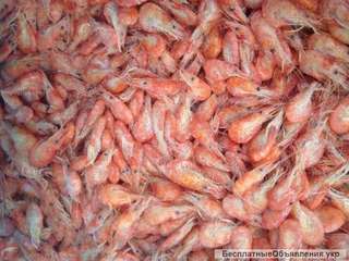 Креветку разных размеров