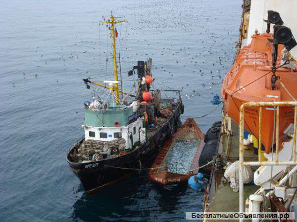 Наша компания предлогает