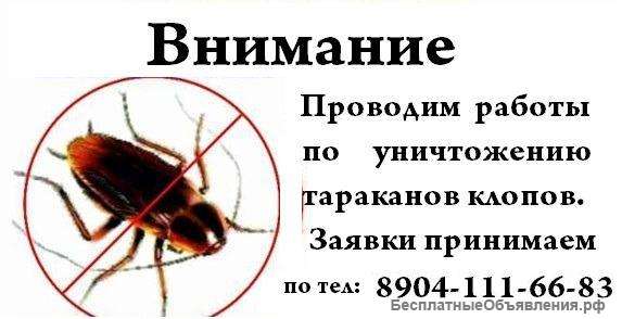 Травим насекомых, (тараканы, клопы, клещи, и пр)