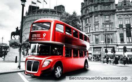 Школа иностранных языков "High school"