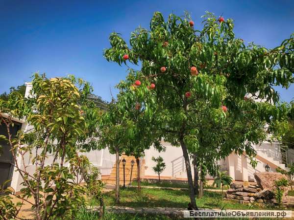 Дом площадью 360 кв.м., Бар, Черногория