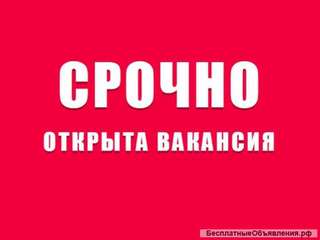 Курьер-промоутер