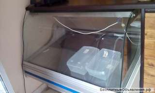 Холодильная витрина