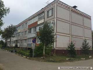 Двухкомнатная квартира в деревне Васильевское