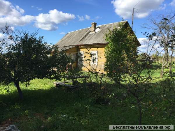 Дом в деревне Новинки возле реки