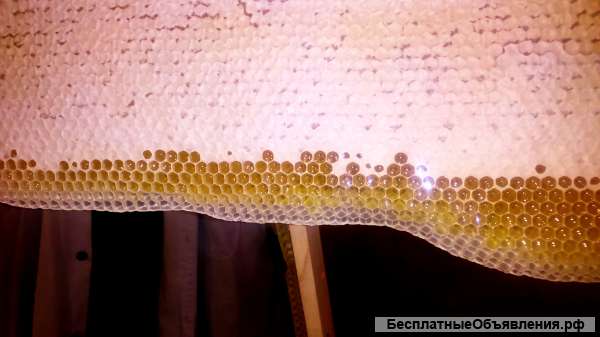 Мёд-луговое разнотравье со своей пасеки в Тверской обл.- 500 руб/кг