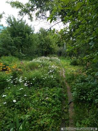 Сад в СНТ Рассвет