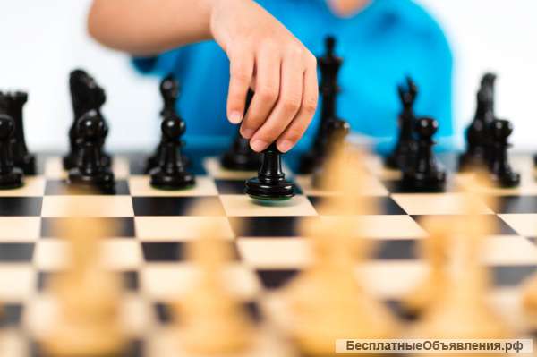 Шахматы для детей 3-18 лет