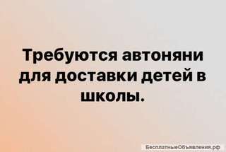 Сопровождающий для ребенка/Автоняня/ Водитель