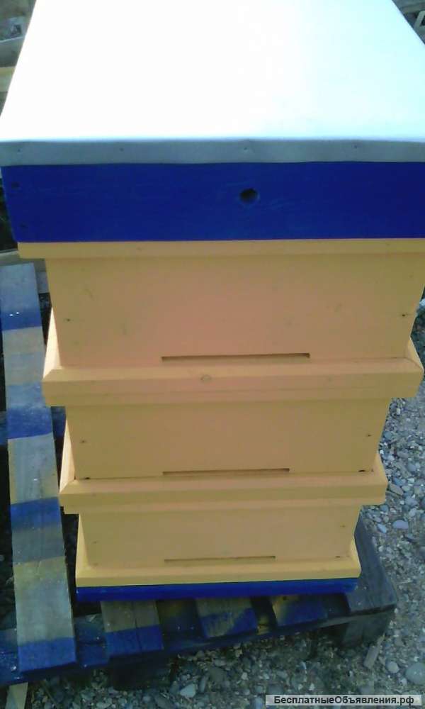Улей для пчел на рамку Рута с высотою корпусов на 240 мм