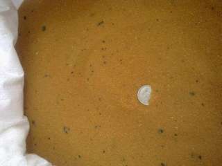 Покупаю отработанный катионит, активный уголь марок АГ-3, АР-В, кокосовый уголь