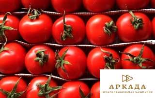 Фасовщик или фасовщица (вахта + жилье)