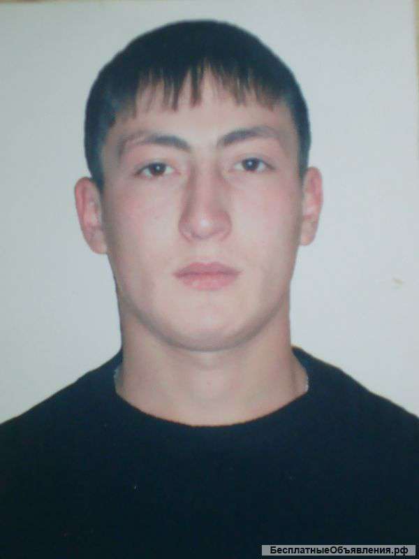 Ищу подработку