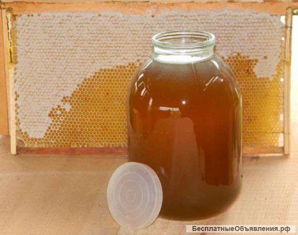 Мед 2014 разнотравье, экологически чистый, очень вкусный и ароматный