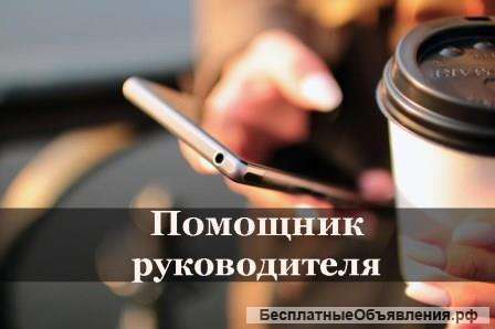 Помощник руководителя