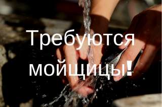 Мойщик