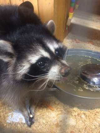 Гадание на картах таро