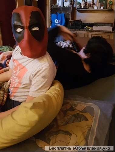 Маска Дэдпула (Deadpool)