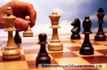 Шахматы