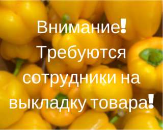 Работник торгового зала