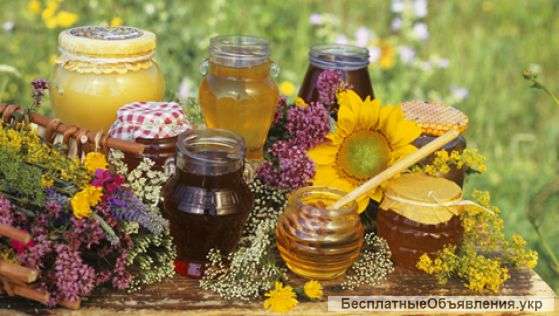 Куплю мед и воск оптом