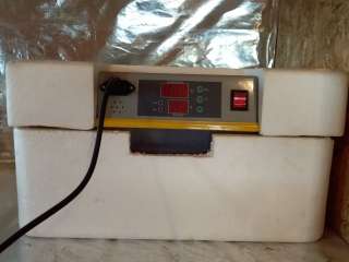 Инкубатор и перосъемная машина