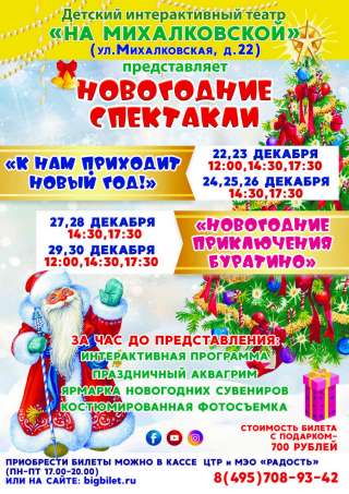 Новогодние спектакли в театре "На Михалковской"