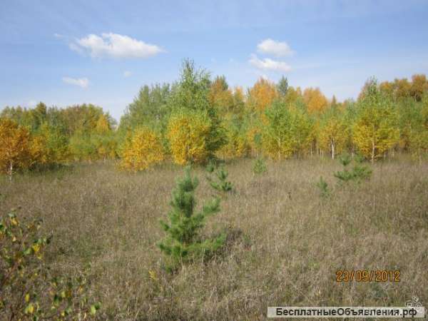 Земельные участки для ведения Крестьянско-Фермерского хозяйства