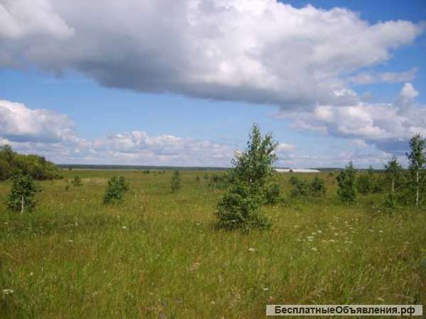 Земельные участки для ведения Крестьянско-Фермерского хозяйства