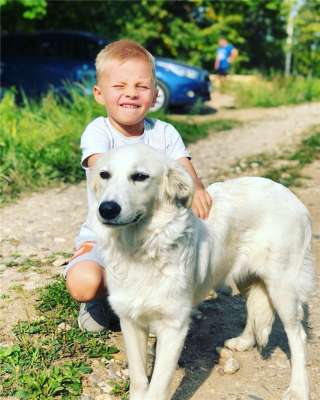 Чудесный щенок Белочка ищет дом