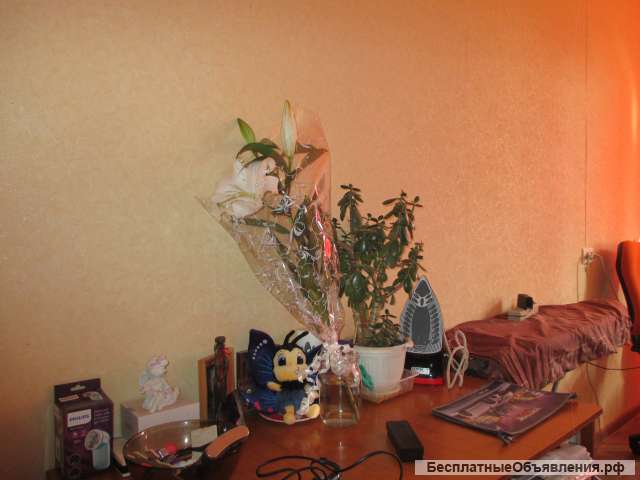 Комната на ул. Белоконской в хорош.сост. 4/9 эт. кирпич. дома