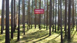 Участок ИЖС Финский залив Спб