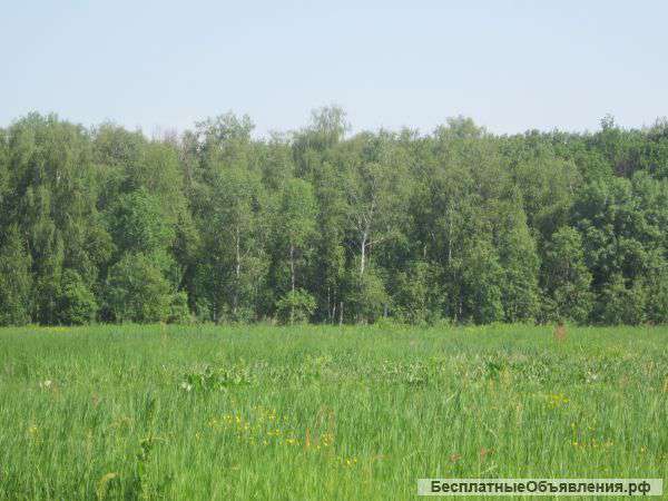 Земельный участок в коттеджном посёлке