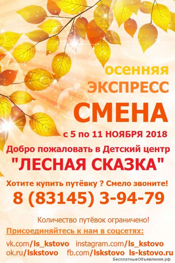 Детский лагерь "Лесная сказка"-осенние каникулы 2019 в Кстово