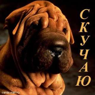 Фасовщица