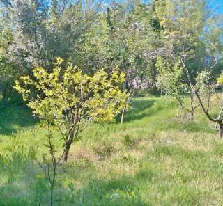 Земельный участок в Сочи на Фабрициусса